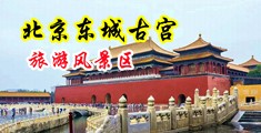 乌克兰女人与河兰男人交配特级黄色毛片cADNApp中国北京-东城古宫旅游风景区